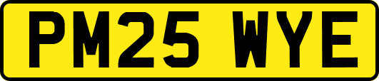 PM25WYE