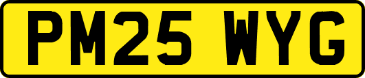PM25WYG