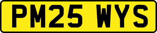 PM25WYS