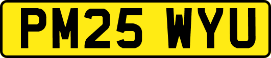 PM25WYU