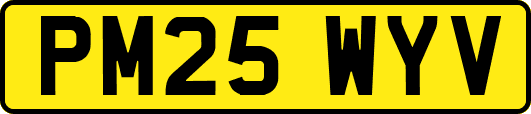 PM25WYV