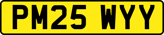 PM25WYY