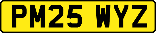 PM25WYZ