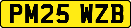 PM25WZB