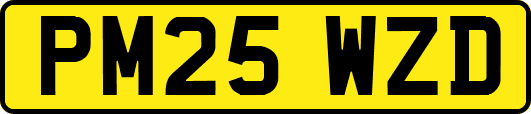 PM25WZD