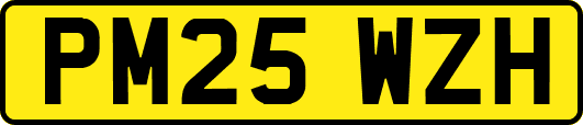 PM25WZH