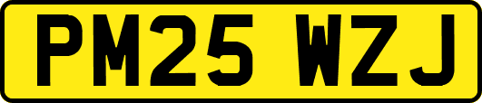 PM25WZJ