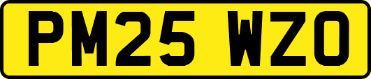 PM25WZO
