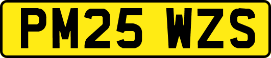 PM25WZS