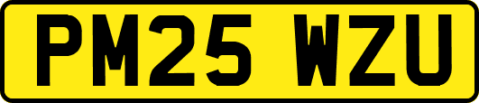 PM25WZU