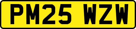 PM25WZW