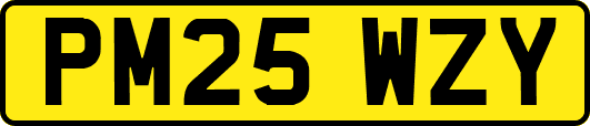 PM25WZY