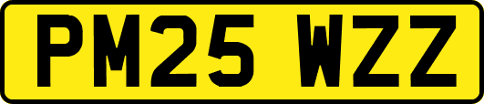 PM25WZZ