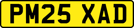 PM25XAD