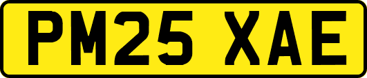 PM25XAE
