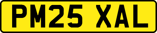 PM25XAL
