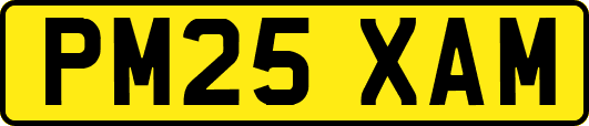 PM25XAM