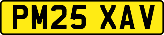 PM25XAV