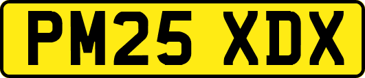 PM25XDX