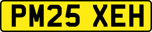 PM25XEH