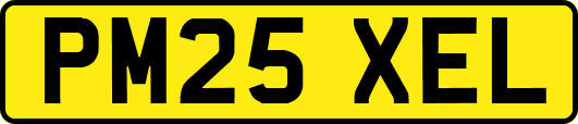 PM25XEL