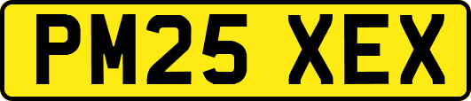 PM25XEX
