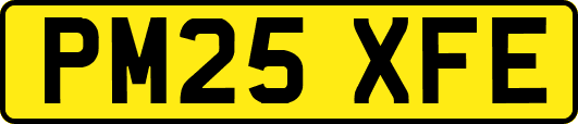 PM25XFE