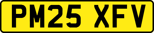 PM25XFV