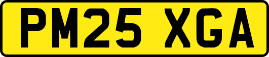 PM25XGA