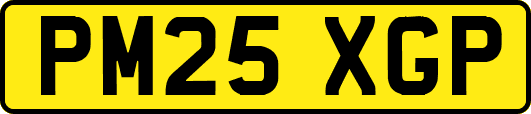 PM25XGP
