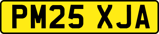 PM25XJA