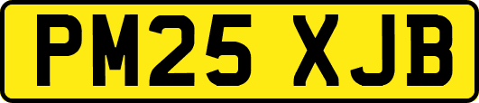 PM25XJB