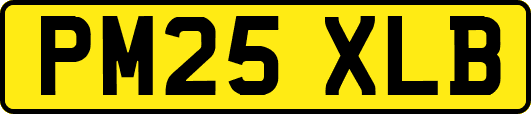 PM25XLB