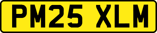 PM25XLM