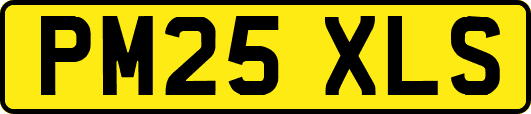 PM25XLS