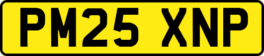 PM25XNP