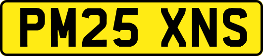 PM25XNS