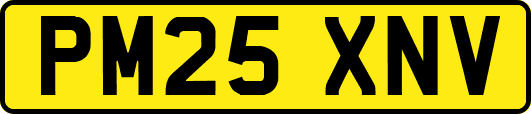 PM25XNV