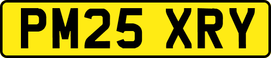 PM25XRY