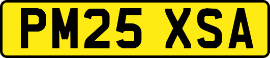 PM25XSA