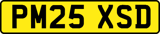 PM25XSD