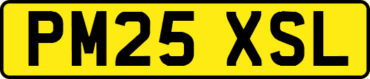 PM25XSL