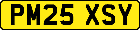 PM25XSY