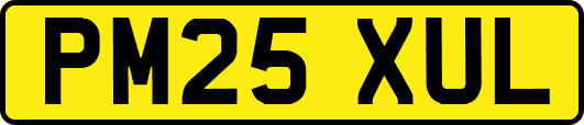 PM25XUL