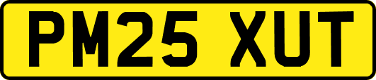PM25XUT