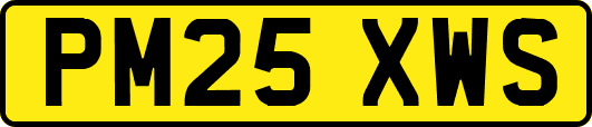 PM25XWS