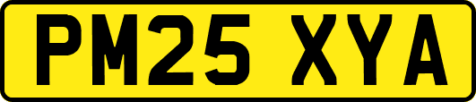 PM25XYA