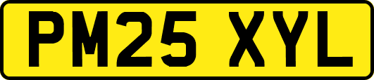 PM25XYL