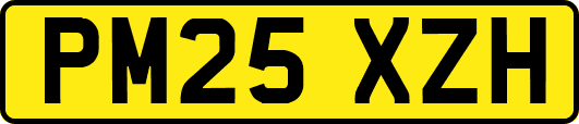 PM25XZH