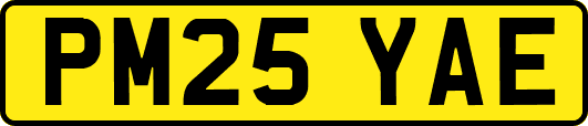 PM25YAE